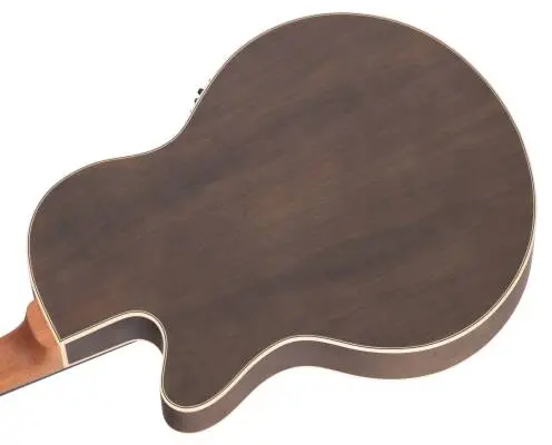 RockBass Alien Deluxe Hybrid Thinline Fretless 5-String Acoustic-Electric Bass Guitar - Natural Transparent Satin