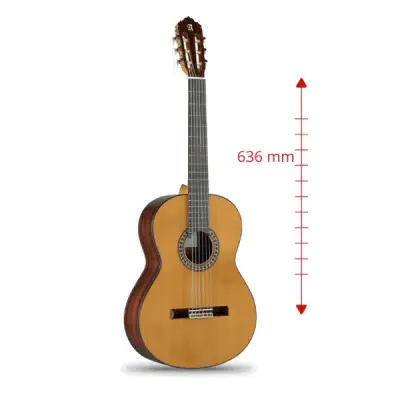 5 P Conservatory Classical Guitar 7/8 Size with Gig Bag
