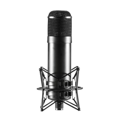 Multi-Pattern Premium Tube Microphone Outfit