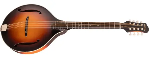 Eastman Guitars - MDO305E Acoustic/Electric Mandolin with Gigbag - Sunburst