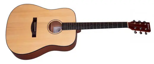 Dreadnought Acoustic Guitar Starter Kit - Satin Natural