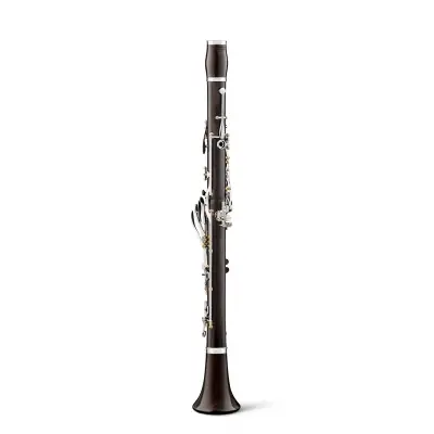 Essence Intermediate Bb Grenadilla Clarinet with Silver-Plated Keys, Gold Posts and Low F Vent