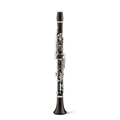 Backun - Essence Intermediate Bb Grenadilla Clarinet with Silver-Plated Keys, Gold Posts and Low F Vent