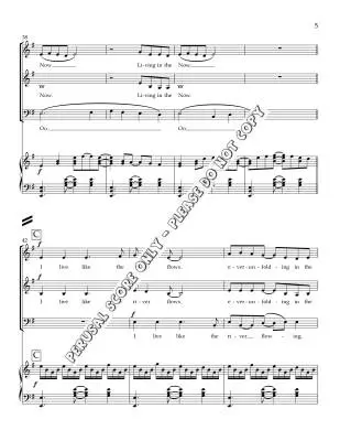 Living in the Now - Hokanson - Choral Octavo - SAB Accompanied