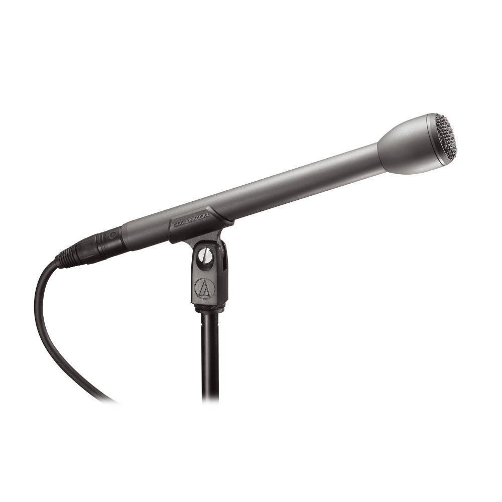 AT8004L Omnidirectional  Dynamic Microphone with Long Handle