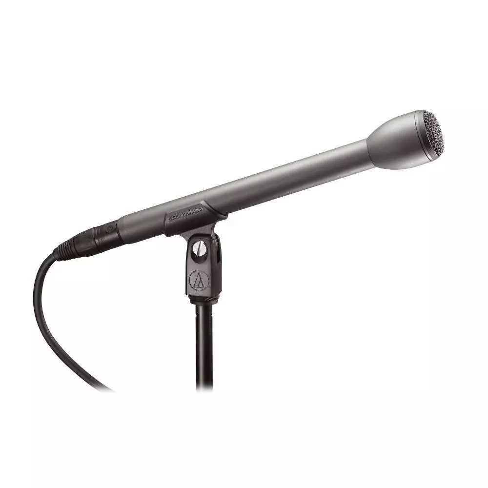 AT8004L Omnidirectional Dynamic Microphone with Long Handle