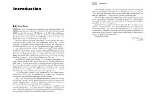 Bruce Springsteen FAQ - Luerssen - Book