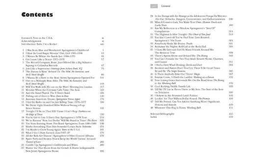 Bruce Springsteen FAQ - Luerssen - Book