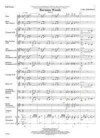 Barnum Woods (March) - Strommen - Concert Band - Gr. Very Easy