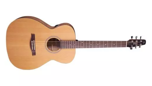 Original Series S6 Concert Hall Acoustic Guitar w/QIT
