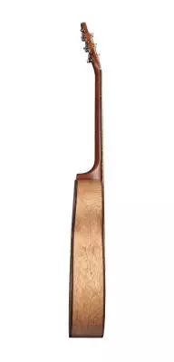 S6 Cedar Concert Hall Acoustic Guitar