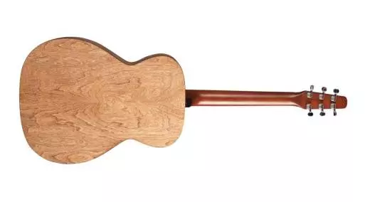 S6 Cedar Concert Hall Acoustic Guitar