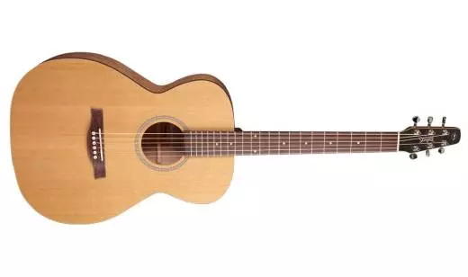 S6 Cedar Concert Hall Acoustic Guitar