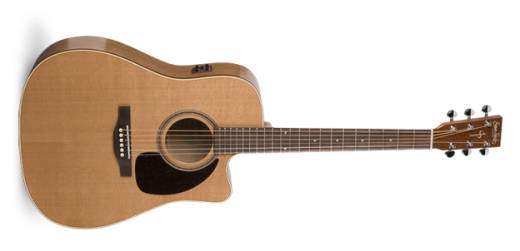 Cutaway Gloss Top (GT) Acoustic Guitar w/A3T