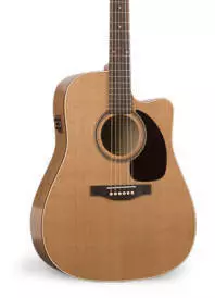 Cutaway Gloss Top (GT) Acoustic Guitar w/A3T