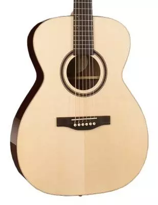 Showcase Rosewood Concert Hall Acoustic Guitar w/A6T and Case