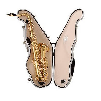 Brass Alto Saxophone Eb E Flat Sax 802 Key Type with Mouthpiece Carry Case  D2R5