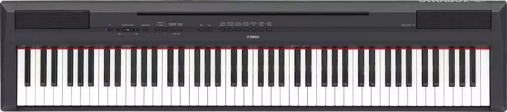 88 Key Digital Piano - Black