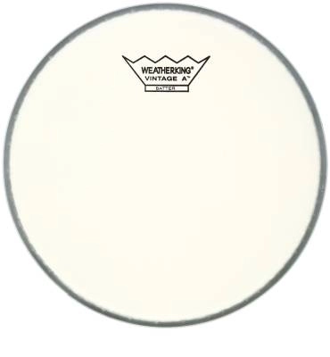 Remo - Vintage Ambassador 8 Coated Batter Head