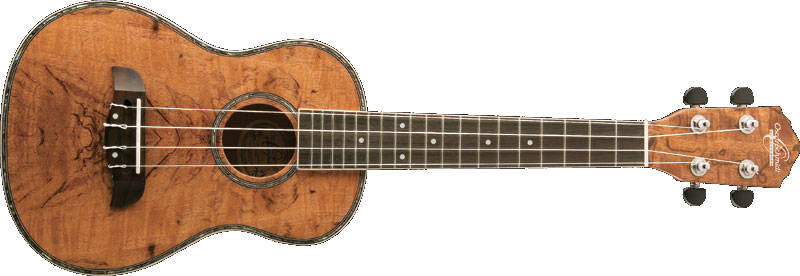 Tenor Ukulele with UK2000 Pickup- Spalted Mango
