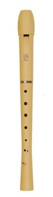 2-Piece C Soprano Recorder with Case (31cm)
