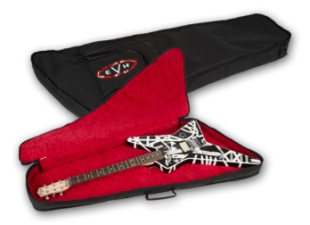 Gigbag for Star Guitar