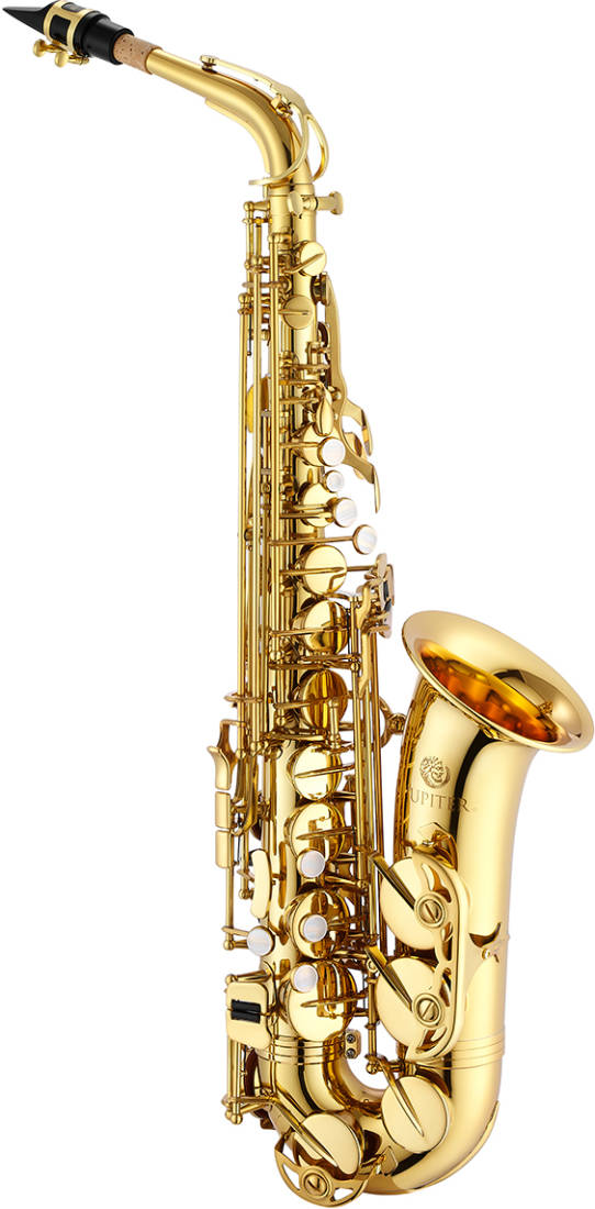 Alto Saxophone - Gold Lacquered, High F#