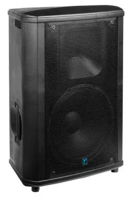 NX Series 2000 Watt Peak 15-Inch+Horn Passive PA Cabinet