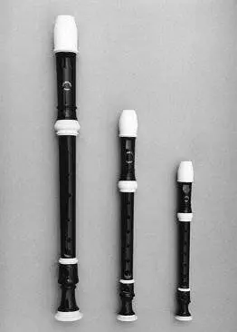 NV40 Tenor Plastic Recorder