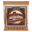 Ernie Ball - Earthwood Medium Light Phosphor Bronze Acoustic Guitar Strings