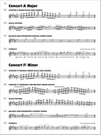 Sound Innovations for Concert Band: Ensemble Development for Advanced Concert Band - Boonshaft/Bernotas - Flute 2