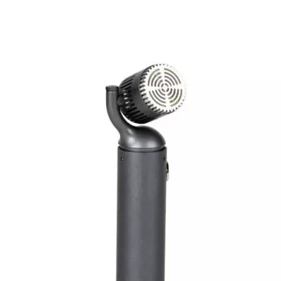 Hummingbird - Rotating Class A Small Diaphragm Condenser
