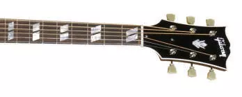 Montana L-7C Archtop