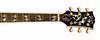 Doves In Flight Custom Acoustic Guitar
