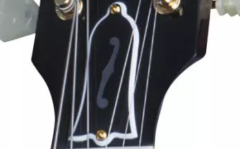 ES-349 Walnut Ltd Edition