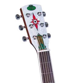 Duolian Nickel Plated Steel Body Guitar w/Slim Neck