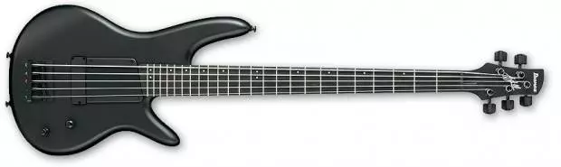 Gary Willis 5-String Fretted Signature Bass - Flat Black