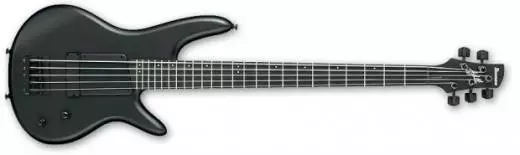 Gary Willis 5-String Fretted Signature Bass - Flat Black