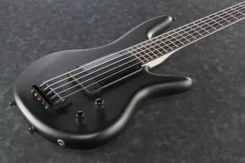 Gary Willis 5-String Fretted Signature Bass - Flat Black