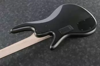 Gary Willis 5-String Fretted Signature Bass - Flat Black
