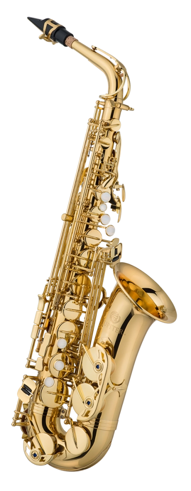 Deluxe Eb Alto Saxophone - F#, Hammered Bell w/Case