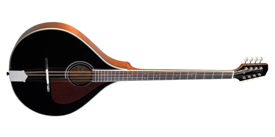 TM-375B Standard Irish Bouzouki with Gigbag - Black Top
