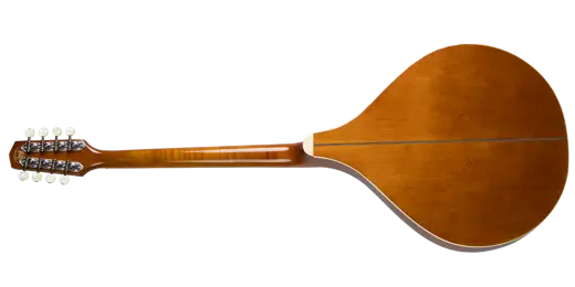 TM-375B Standard Irish Bouzouki with Gigbag - Black Top