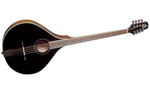 Trinity College - Solid Spruce/Maple Bouzouki - Black Top