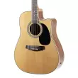 Acoustic/Electric Steel String Guitar - Natural