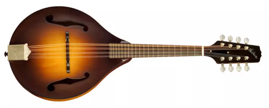 A-9 Mandolin