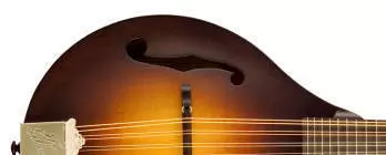 A-9 Mandolin