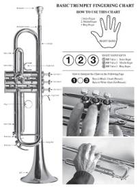 Basic Fingering Chart For Trumpet