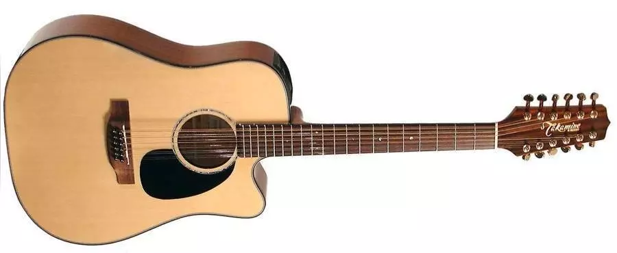 EG345C - G Series Dreadnought 12-String Acousic/Electric
