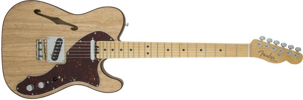 ギター Fender TelecasterThinline American Elite Fender American Elite Telecaster Thinline, Maple Fingerboard